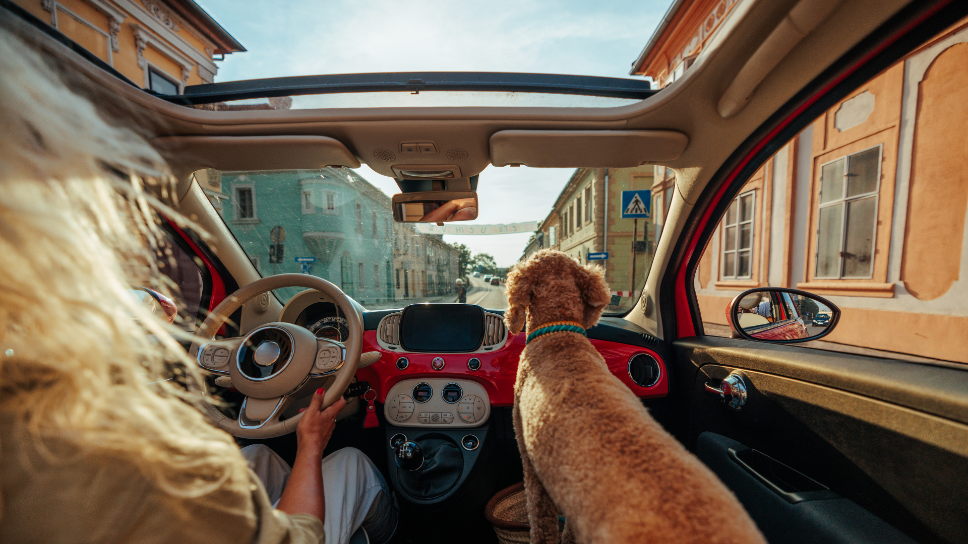 Traveling with Your Beloved Pet! A Guide to Safety and Care