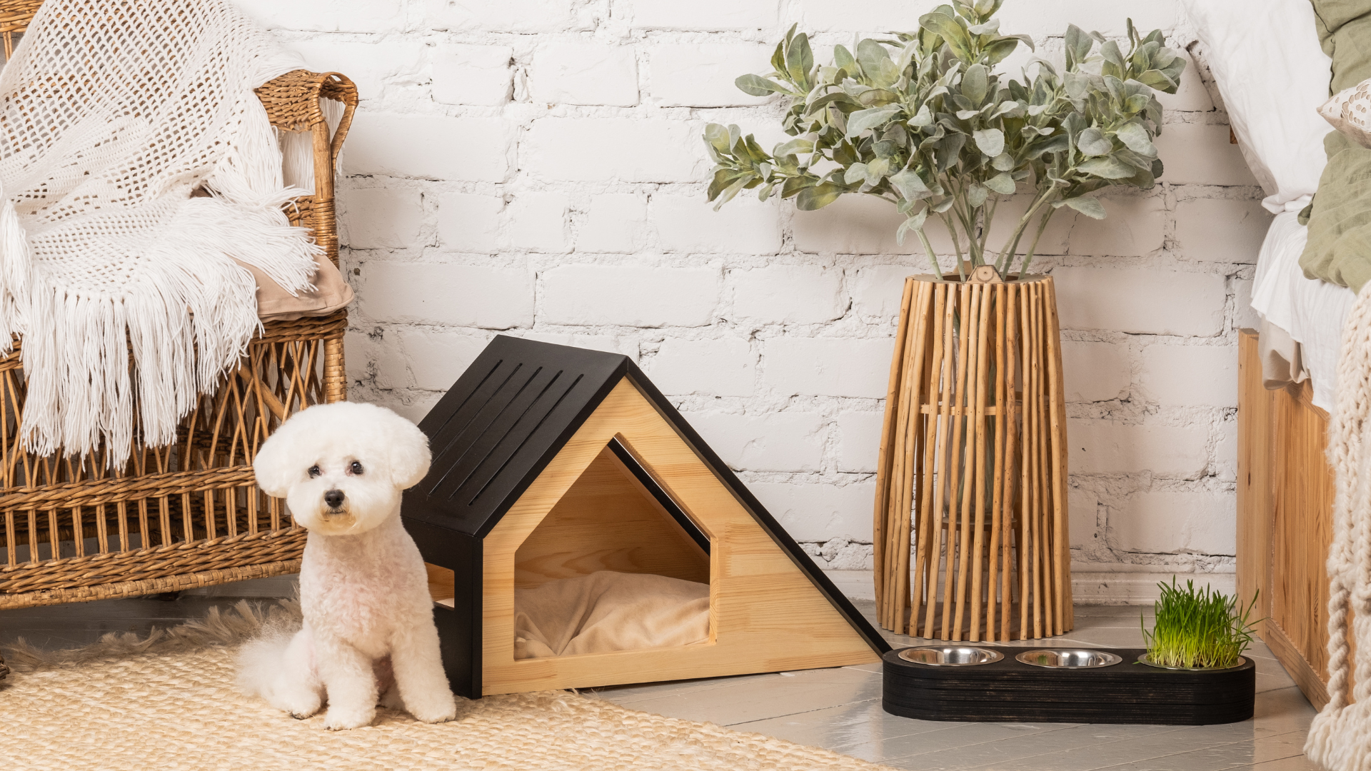 Pet Cleaning Tips: Natural Ways to Create a Safe and Toxin-Free Home